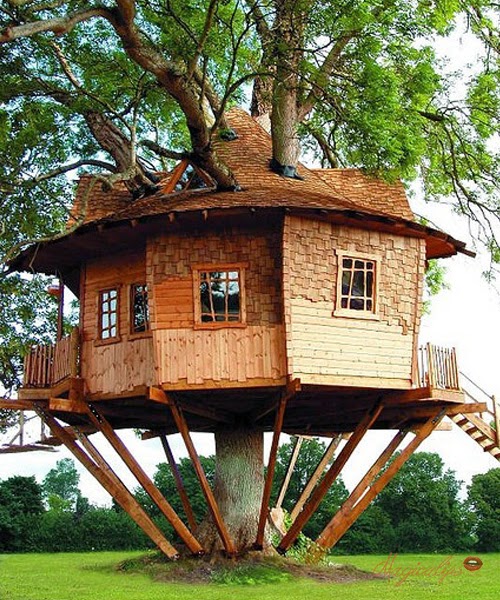 13 Jenis rumah atas pokok yang buat anda rasa nak pindah 